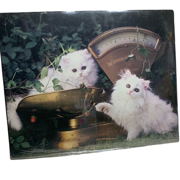 Vintage 1987 Kitten & scales poster 16" x 20" Ron Kimhall # 1685 - Picture 1 of 12